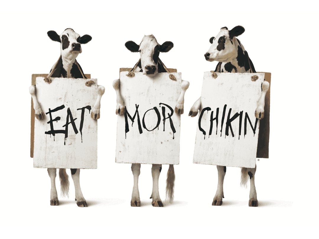 The Cows and their call to "Eat Mor Chikin" ChickfilA Canada